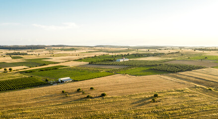 Fototapeta na wymiar Aerial view at agricultural fields at sunset