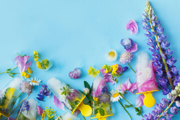 Floral Ice Pops. Frozen popsicles and ice cubes made of colorful wildflowers on blue background with fresh summer flowers. Flat lay with space for text. Hello summer concept