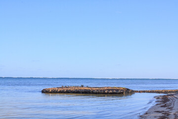 Piece of land entering a calm sea