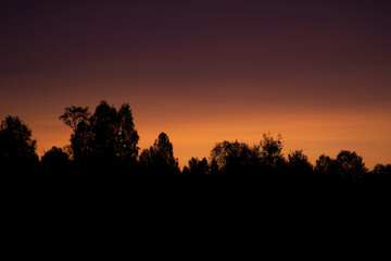 Fototapeta na wymiar Multi-colored sunrise. Soft light of sunrise on a silhouette forest background.