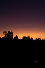 Fototapeta na wymiar Multi-colored sunrise. Soft light of sunrise on a silhouette forest background.