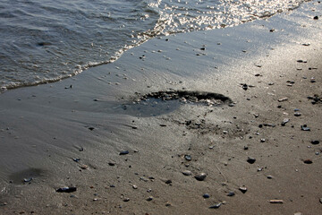 Footprints in the sand, Fohr Island, UNESCO World Heritage Site Wattenmeer, Germany, Europe