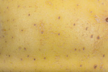 Light brown Potato skin surface texture pattern close up detail macro. Abstract background. 