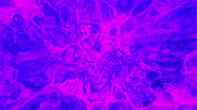 neon bubbles seethe and burst. pink-blue looped abstract animation