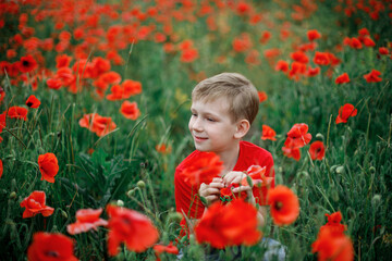 a boy of European appearance is sitting in beautiful poppy field close-up