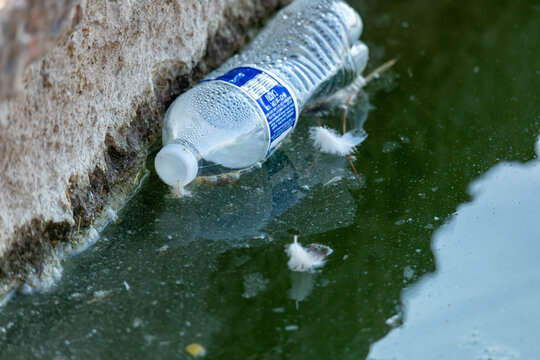 A plastic bottle polluting our environment in a pond of water