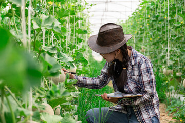 smart farmer using technology in an agriculture field, She was watching the produce from her garden, her checking by using notebook in farm field.