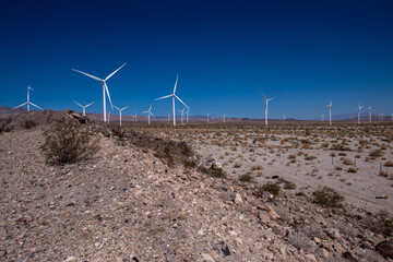 wind turbines in the desert