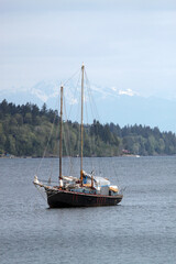 Ocean scene with sailboat, coastline covered with pine trees, blue sky, and distant mountains