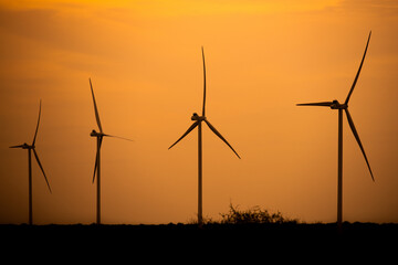 Silhouette of wind farm and windmills at sunset.