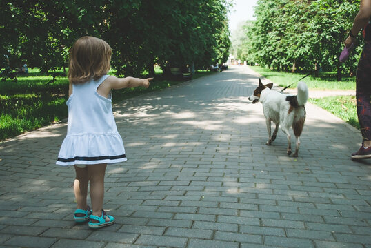 Retro styled photo. A little girl in a white dress points a finger at a passing dog. Taken from the back on a summer day in the park. Noise effect and tinted image. Old Film Style.
