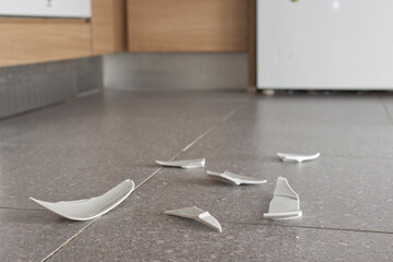 Plato roto en el suelo de la cocina