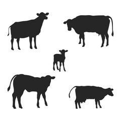 Set of cow silhouettes on white.