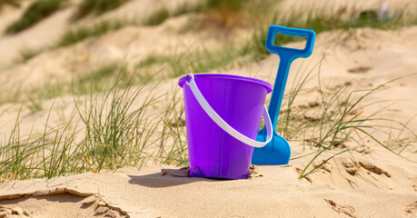 Purple bucket and blue spade on a sandy beach with plants