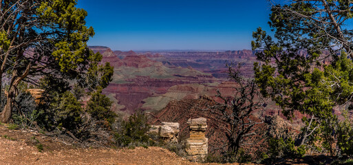 The Grand Canyon at Hermits Rest framed by trees