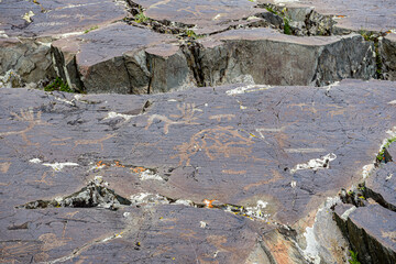 Ancient petroglyphs carved into rocks in western Mongolia, Bayan Olgii province.