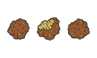 Vector illustration of falafel pieces