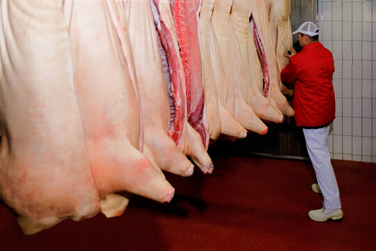 Rear view of a worker cuts pork that hangs on the hook in a meat processing factory. Horizontal view.