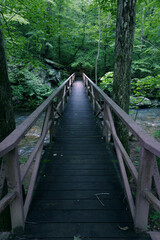A slick narrow footbridge crosses a river in the riparian forest in the mountains.