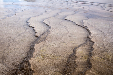 Ground lines under calm water.