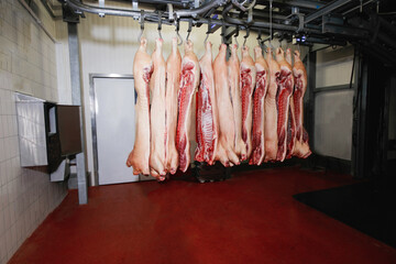 Half pork chunks fresh hung and arranged in a row in a large fridge in the fridge meat industry. Horizontal view.