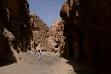 canyon in the mountains