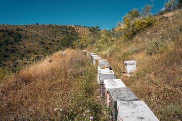 Fototapety na wymiar - Fototapeta24.pl
