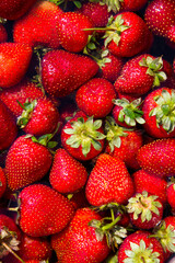 Strawberry Background. Fresh berries, close-up, top view. Home grown strawberries, a new crop