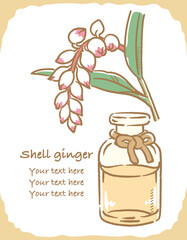 月桃とエッセンシャルオイルの瓶のイラスト素材