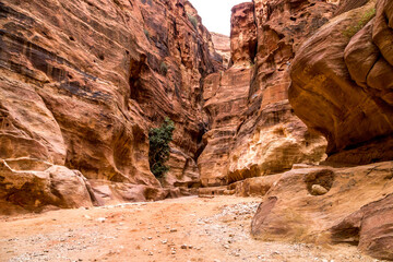 red rock canyon