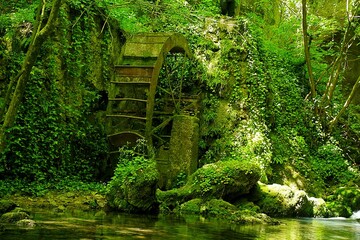Old damaged water mill wheel in beautiful forest near mountain stream