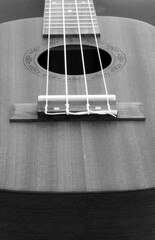 Close up, abstract details of stringed musical instruments including mandolins, guitars, and ukuleles in black and white.