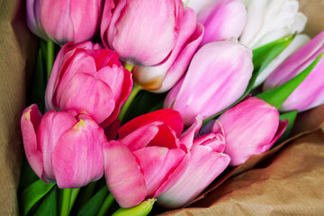 Obraz premium bouquet of pink tulips