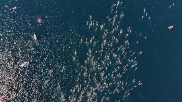 Aerial footage of people swimming between Europe and Asia. Bosphorus Intercontinental Race 2019, Istanbul 4K