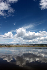 Lake scene in Montana with reflections of dynamic blue skies with clouds