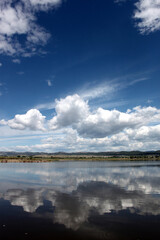 Obraz premium Lake scene in Montana with reflections of dynamic blue skies with clouds