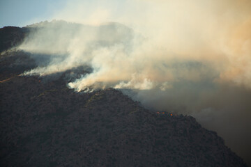 Bighorn Fire