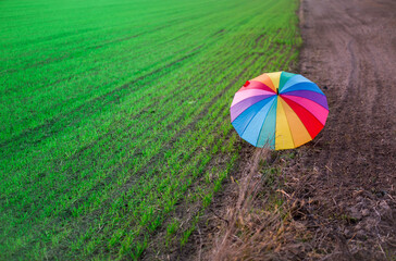 Tęczowa parasolka na polu 