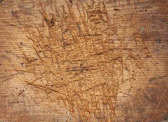 texture of a old brown wood, full frame, backdrop for the designer
