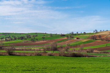 Fototapeta na wymiar Beautiful fields landscape, Turk village
