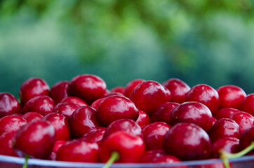 Sweet cherries as a background