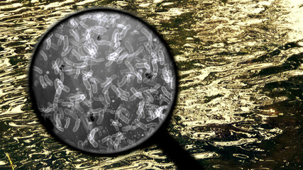 Search for bacteria in the water