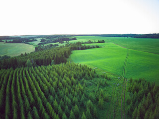 Fototapeta na wymiar Aerial view of countryside landscape with forest and green fields with road