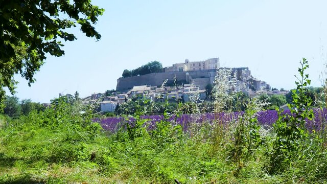 Vacation in France. View standing at the castle of Grignan, Provence. Fields of Lavender and landscape of the countryside.  