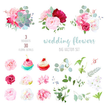 Blooming wedding flowers, tasty cupcakes and leaves big vector collection