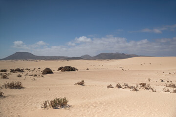 Fototapeta na wymiar coastal desert landscape of Sotavento de Jadia in Fuerteventurawith sand dune