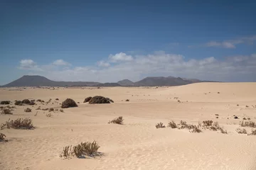 Fotobehang Sotavento Beach, Fuerteventura, Canarische Eilanden coastal desert landscape of Sotavento de Jadia in Fuerteventurawith sand dune
