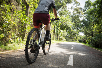 Naklejka premium Woman riding on bike path at park on sunny day