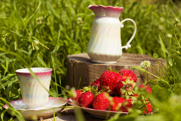 Still Life with strawberry and cup and teapot