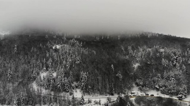 Snow-covered trees from the top in Abant. Beautiful natural landscape in winter time. Aerial footage in snowy weather 